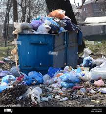 Best Recycling Services for Junk  in Beach Haven, NJ