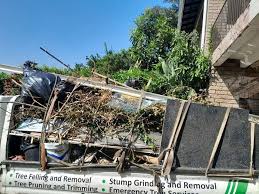 Best Shed Removal  in Beach Haven, NJ